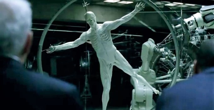 Criador contempla sua criatura