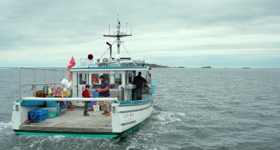 Intimidade familiar: o tio contando sobre tubarões